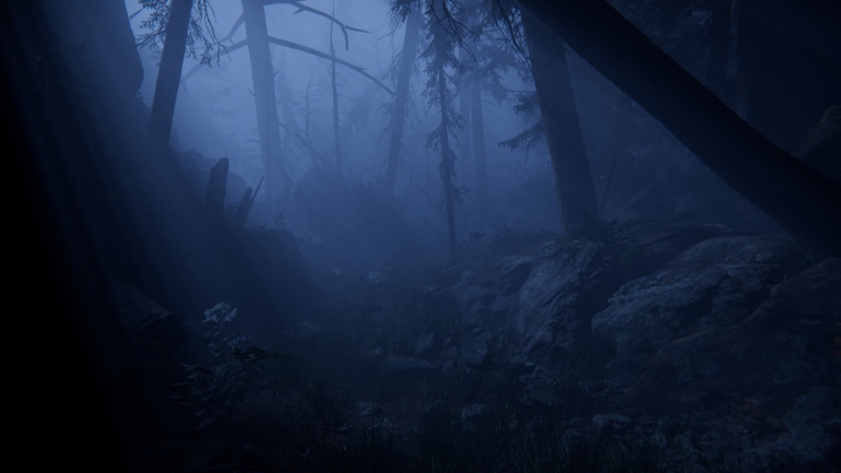 Together After Dark – кооперативный хоррор с подростками, заблудившимися в темном лесу Together After Dark – кооперативный хоррор с подростками, заблудившимися в темном лесу