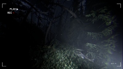 Together After Dark – кооперативный хоррор с подростками, заблудившимися в темном лесу Together After Dark – кооперативный хоррор с подростками, заблудившимися в темном лесу