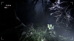 Together After Dark – кооперативный хоррор с подростками, заблудившимися в темном лесу Together After Dark – кооперативный хоррор с подростками, заблудившимися в темном лесу