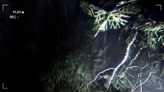 Together After Dark – кооперативный хоррор с подростками, заблудившимися в темном лесу Together After Dark – кооперативный хоррор с подростками, заблудившимися в темном лесу