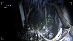 Together After Dark – кооперативный хоррор с подростками, заблудившимися в темном лесу Together After Dark – кооперативный хоррор с подростками, заблудившимися в темном лесу