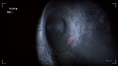 Together After Dark – кооперативный хоррор с подростками, заблудившимися в темном лесу Together After Dark – кооперативный хоррор с подростками, заблудившимися в темном лесу