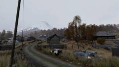 Bohemia Interactive     DayZ