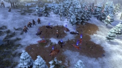  Northgard         