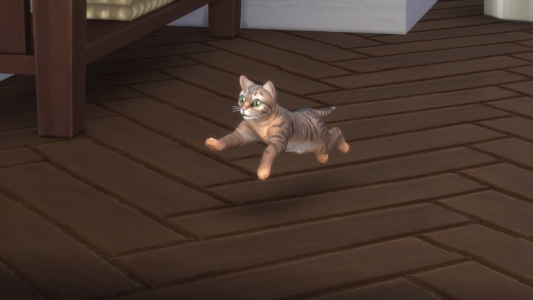 EA  FOMO-    The Sims 4