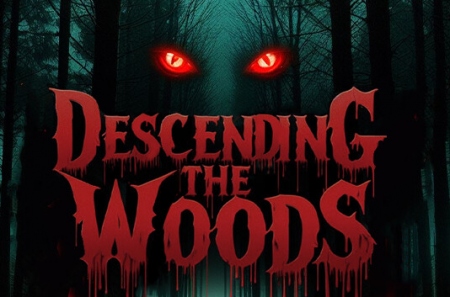 Descending The Woods