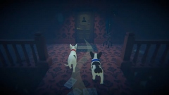 Haunted Paws – кооперативный хоррор про двух щенков, спасающих своего человека Haunted Paws – кооперативный хоррор про двух щенков, спасающих своего человека