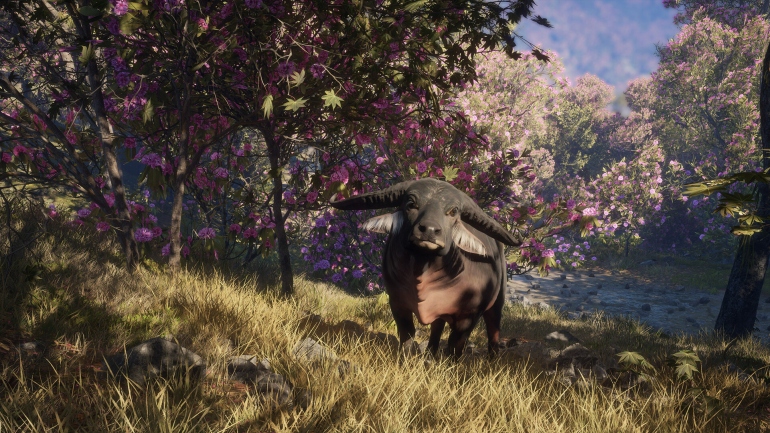 Симулятор охотника theHunter: Call of the Wild получит дополнение с флорой и фауной Непала Симулятор охотника theHunter: Call of the Wild получит дополнение с флорой и фауной Непала