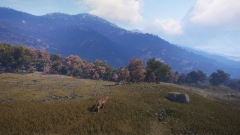 Симулятор охотника theHunter: Call of the Wild получит дополнение с флорой и фауной Непала Симулятор охотника theHunter: Call of the Wild получит дополнение с флорой и фауной Непала