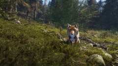 Симулятор охотника theHunter: Call of the Wild получит дополнение с флорой и фауной Непала Симулятор охотника theHunter: Call of the Wild получит дополнение с флорой и фауной Непала