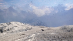 Симулятор охотника theHunter: Call of the Wild получит дополнение с флорой и фауной Непала Симулятор охотника theHunter: Call of the Wild получит дополнение с флорой и фауной Непала