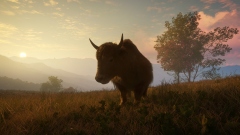 Симулятор охотника theHunter: Call of the Wild получит дополнение с флорой и фауной Непала Симулятор охотника theHunter: Call of the Wild получит дополнение с флорой и фауной Непала