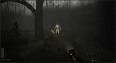 Descending The Woods � ������������� ���� ���������� ����� � ���������������� ������� 