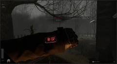 Descending The Woods � ������������� ���� ���������� ����� � ���������������� ������� 