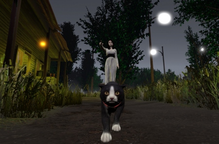 Shadows in Silence     ,     