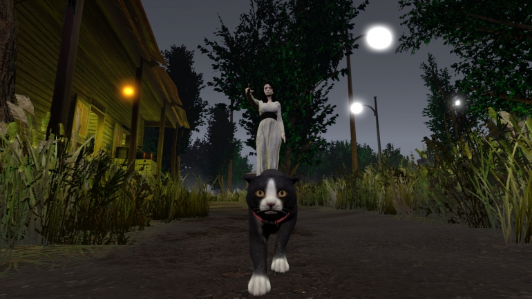 Shadows in Silence – асимметричный хоррор с ведьмами, котами и любителей громкой музыки Shadows in Silence – асимметричный хоррор с ведьмами, котами и любителей громкой музыки