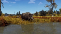 В кооперативный шутер Way of the Hunter добавят огромный скандинавский заповедник с большим разнообразием флоры и фауны В кооперативный шутер Way of the Hunter добавят огромный скандинавский заповедник с большим разнообразием флоры и фауны