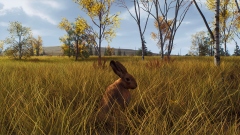 В кооперативный шутер Way of the Hunter добавят огромный скандинавский заповедник с большим разнообразием флоры и фауны В кооперативный шутер Way of the Hunter добавят огромный скандинавский заповедник с большим разнообразием флоры и фауны
