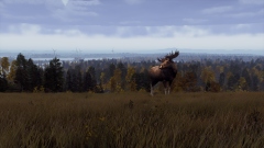 В кооперативный шутер Way of the Hunter добавят огромный скандинавский заповедник с большим разнообразием флоры и фауны В кооперативный шутер Way of the Hunter добавят огромный скандинавский заповедник с большим разнообразием флоры и фауны