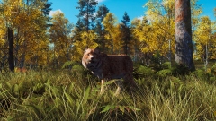 В кооперативный шутер Way of the Hunter добавят огромный скандинавский заповедник с большим разнообразием флоры и фауны В кооперативный шутер Way of the Hunter добавят огромный скандинавский заповедник с большим разнообразием флоры и фауны