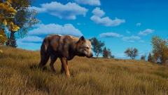 В кооперативный шутер Way of the Hunter добавят огромный скандинавский заповедник с большим разнообразием флоры и фауны В кооперативный шутер Way of the Hunter добавят огромный скандинавский заповедник с большим разнообразием флоры и фауны