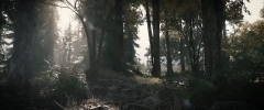 Crytek   - Hunt: Showdown 1896    