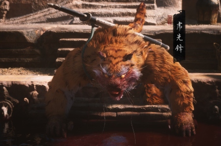   Black Myth: Wukong      Steam