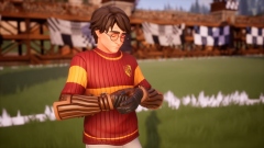 Harry Potter: Quidditch Champions Harry Potter: Quidditch Champions