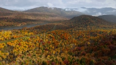 Activision       Call of Duty: Black Ops 6