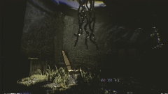 Backrooms Media � ������������� ������ � ����� �� ��������� ������ � ���������� �������