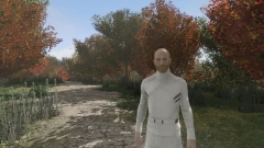  Fallout New Hampshire     Fallout 4   ,    