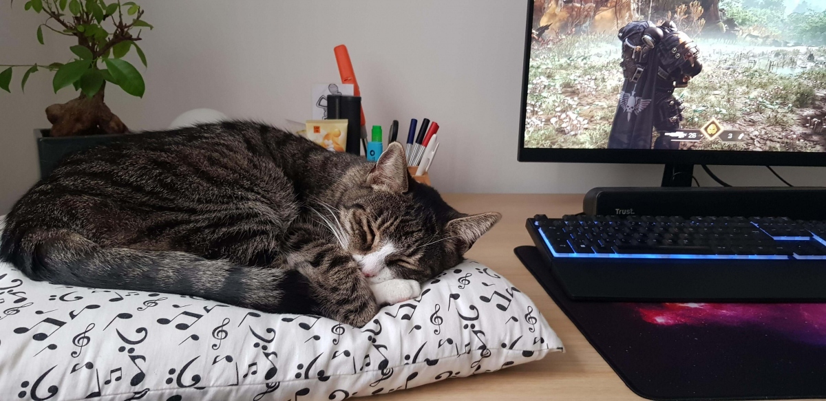 Warhammer 40k: Space Marine 2  10    ( 2)