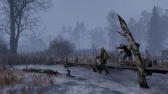     DayZ    Frostline