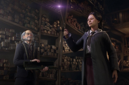  .  Hogwarts Legacy 2      