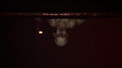 We Are Alive � ������������� ������ ��� ����������, ������������ ������������ � ��������������� ��������