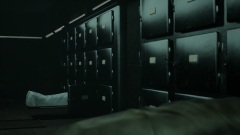 We Are Alive � ������������� ������ ��� ����������, ������������ ������������ � ��������������� ��������