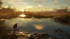 В симулятор охотника theHunter: Call of the Wild добавят национальный парк Зальцвизен – лучшее в мире место для охоты на водоплавающую дичь В симулятор охотника theHunter: Call of the Wild добавят национальный парк Зальцвизен – лучшее в мире место для охоты на водоплавающую дичь