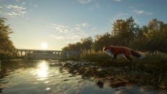 В симулятор охотника theHunter: Call of the Wild добавят национальный парк Зальцвизен – лучшее в мире место для охоты на водоплавающую дичь В симулятор охотника theHunter: Call of the Wild добавят национальный парк Зальцвизен – лучшее в мире место для охоты на водоплавающую дичь