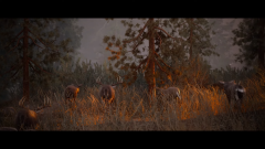Nacon ������������ ������������� ��������� �������� Hunting Simulator 3