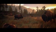 Nacon ������������ ������������� ��������� �������� Hunting Simulator 3