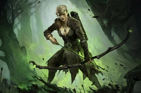     Path of Exile 2    ,    