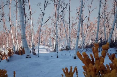 BLACKFROST: The Long Dark 2 – еще более реалистичное выживание в условиях ледяного апокалипсиса