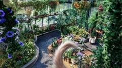 Catly � ��������� MMO � ���� ���������� �������� �������