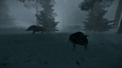 � ������-������ STALCRAFT: X ��������� ���������� ����� ��������� ����������