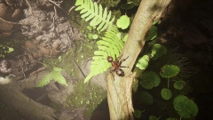 Microids опубликовала дорожную карту обновлений Empire of the Ants на 2025 год Microids опубликовала дорожную карту обновлений Empire of the Ants на 2025 год