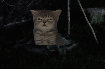 Sony  PSN    PS Plus  5  