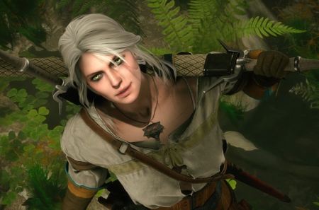 CD Projekt RED     The Witcher 4