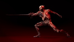 Tripwire Interactive      Killing Floor 3