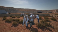  Ranch Simulator   ,   
