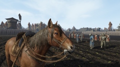 Life is Feudal: Arden – бесплатная MMORPG с возможностью создать собственный средневековый мир Life is Feudal: Arden – бесплатная MMORPG с возможностью создать собственный средневековый мир